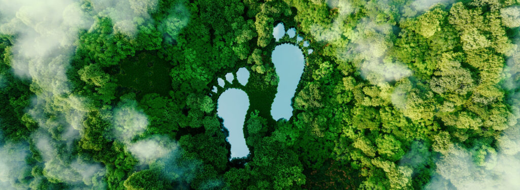 Fußabdruck in Wald von oben